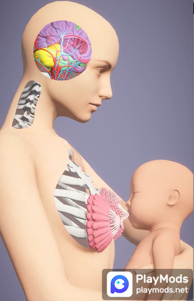 Momlife Simulator<span>(No Ads)</span> screenshot image 1_Popularmodapk.com
