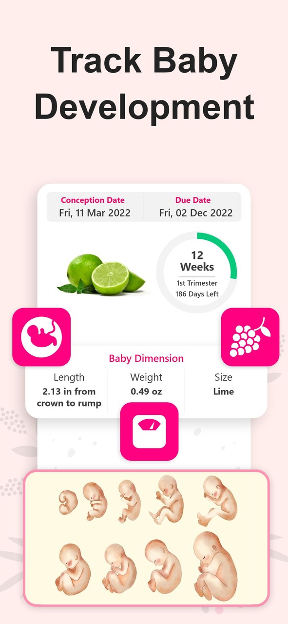 Pregnancy Calculator, Calendar screenshot image 11_Popularmodapk.com