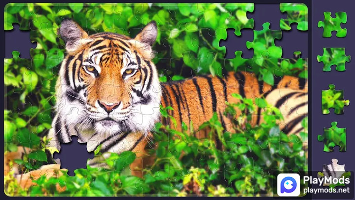 Relax Jigsaw Puzzles<span>(No Ads)</span> screenshot image 2_Popularmodapk.com