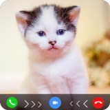 cat fake video call prank6.0_Popularmodapk.com