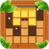 Woody Block Puzzle: Wood Game3.0.4_Popularmodapk.com
