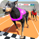 Dog Racing Championship Game1.1_Popularmodapk.com