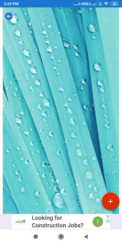 Teal Wallpapers: HD images, Free Pics download screenshot image 14_Popularmodapk.com