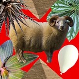 Escapegame DreamlessRoom(No Ads)1.0.1_Popularmodapk.com