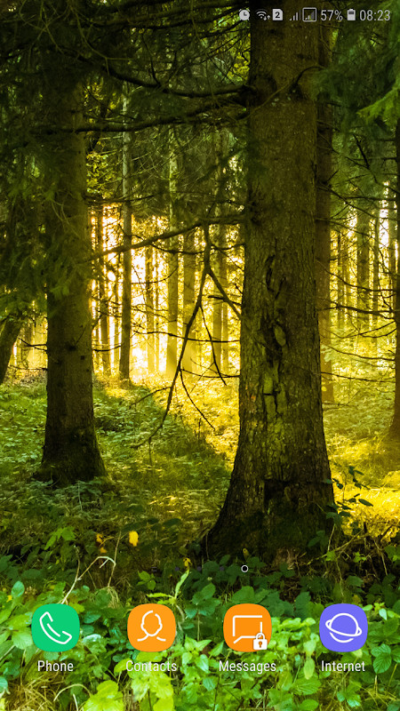 Forest Wallpaper screenshot image 35_Popularmodapk.com