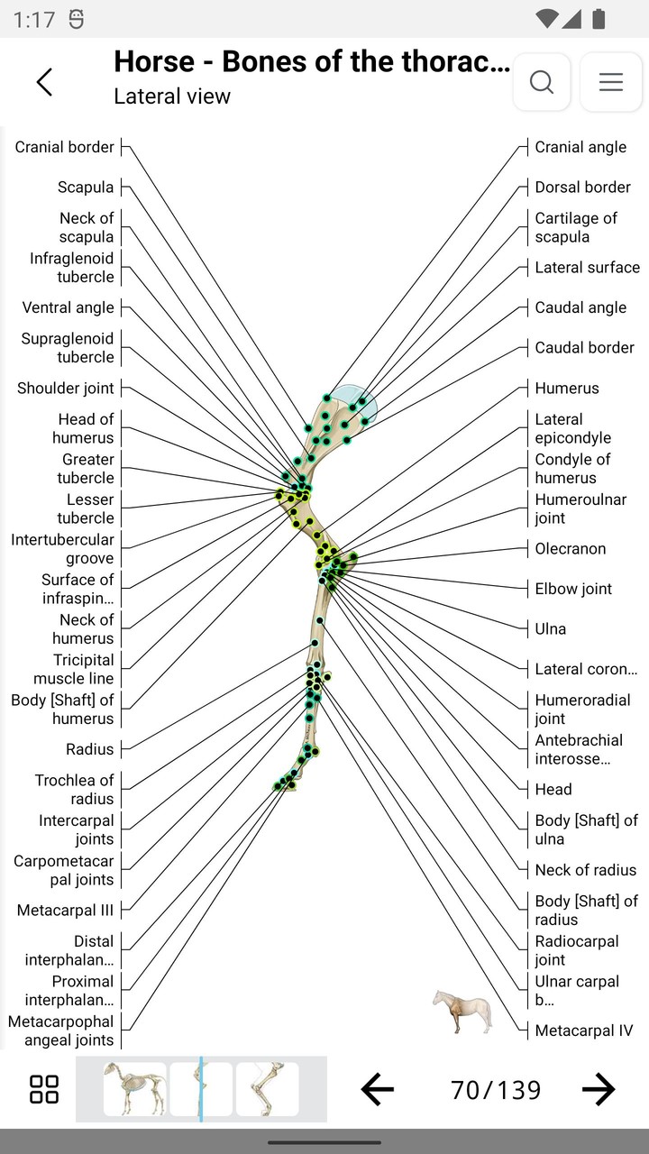 vet-Anatomy screenshot image 7_Popularmodapk.com