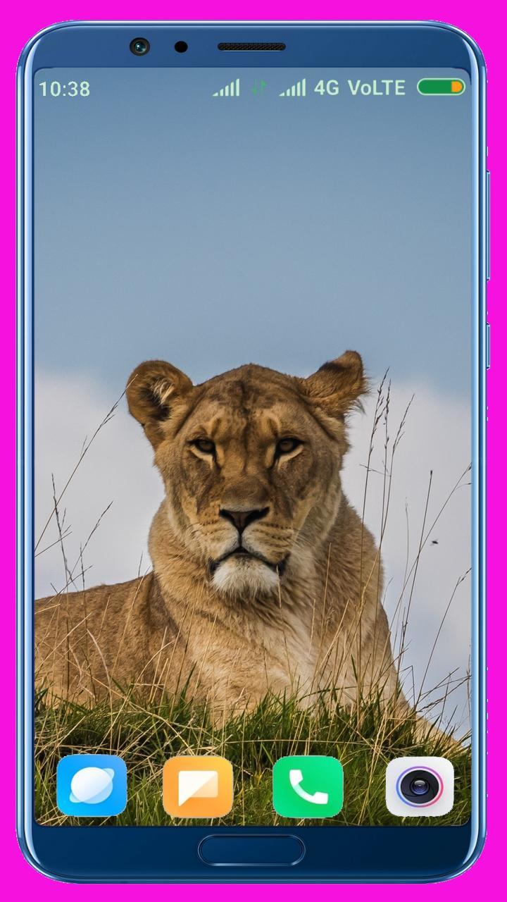 Lion HD Wallpaper screenshot image 27_Popularmodapk.com