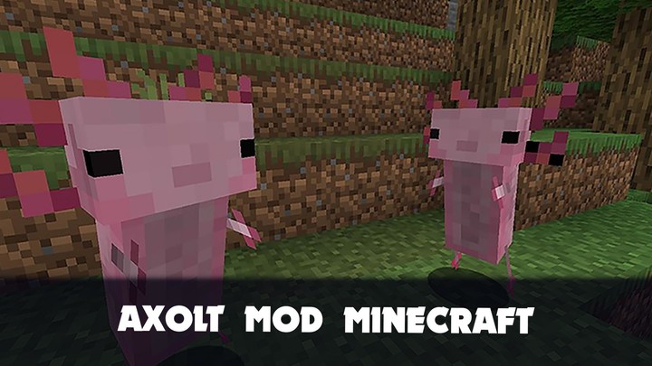 Axolotl Mod for Minecraft PE screenshot image 1_Popularmodapk.com