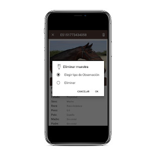 SolarX Beta screenshot image 17_Popularmodapk.com
