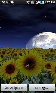 Tarteel: Quran A.I. screenshot image 1_Popularmodapk.com