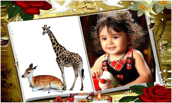 Book Photo Frames screenshot image 5_Popularmodapk.com