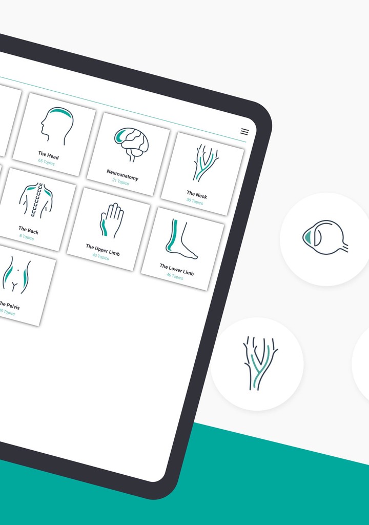 Teach Me Anatomy screenshot image 18_Popularmodapk.com