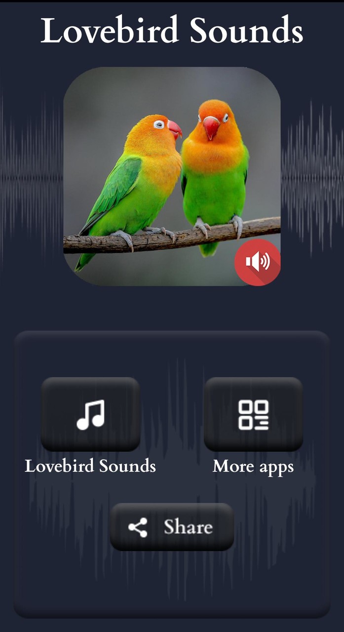 Lovebird Sounds screenshot image 2_Popularmodapk.com