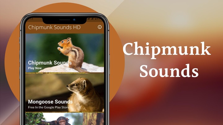 Chipmunk Sounds screenshot image 7_Popularmodapk.com