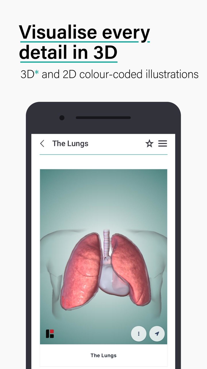 Teach Me Anatomy screenshot image 6_Popularmodapk.com