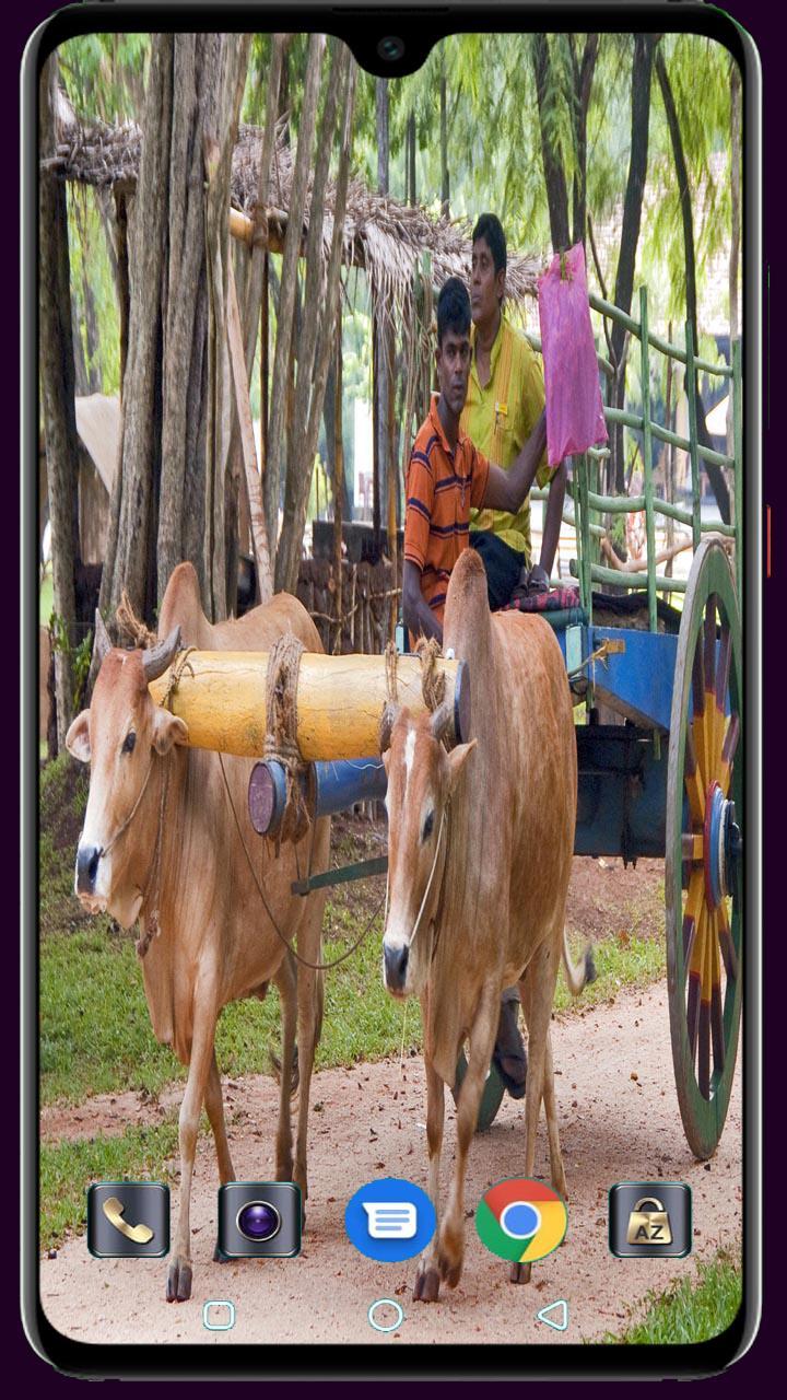 Medical Logo Maker screenshot image 29_Popularmodapk.com