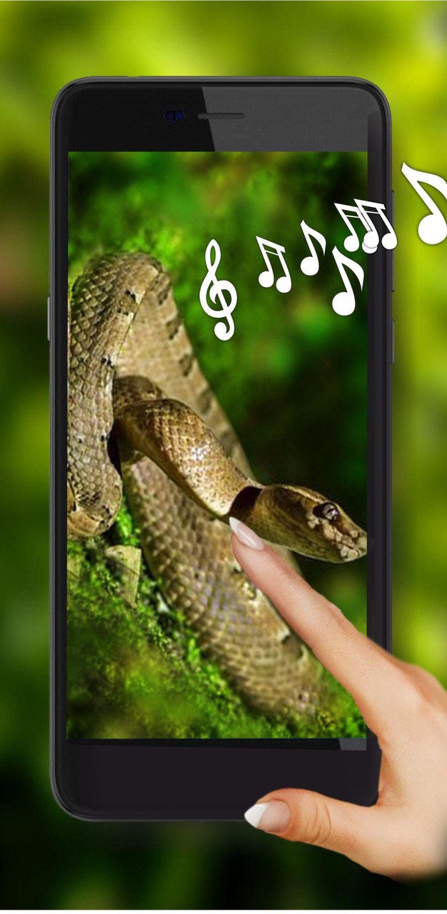 Snakes Jungles HD screenshot image 6_Popularmodapk.com