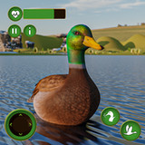 Ultimate Duck Family Sim2.6_Popularmodapk.com