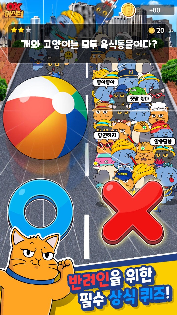 OX 페스런 - 강아지 고양이 상식 퀴즈 screenshot image 3_Popularmodapk.com