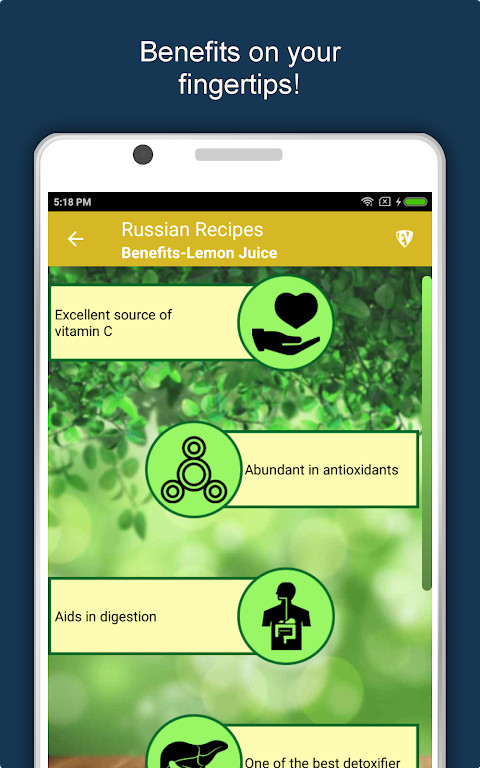 Russian Food Recipes Offline screenshot image 5_Popularmodapk.com