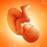 Pregnancy and Due Date Tracker3.56.0_Popularmodapk.com
