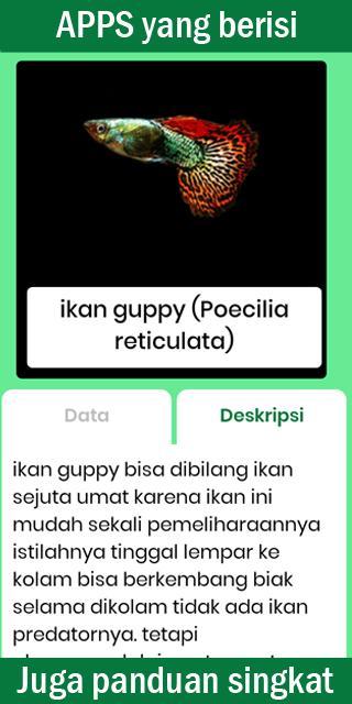 Buku Saku Ikan Hias screenshot image 4_Popularmodapk.com