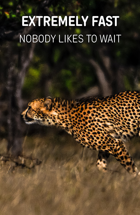 Wild Browser: safe web search screenshot image 3_Popularmodapk.com