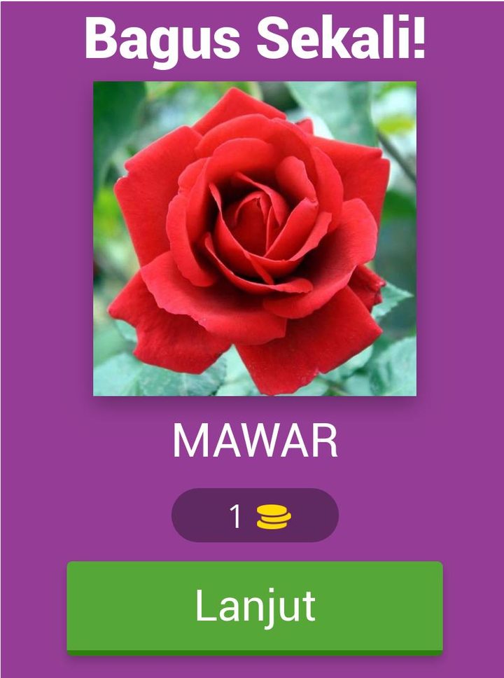 Tebak Gambar Bunga screenshot image 8_Popularmodapk.com