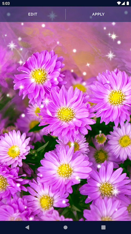 Rhapsody of Realities Bible + Audios, Planners... screenshot image 8_Popularmodapk.com