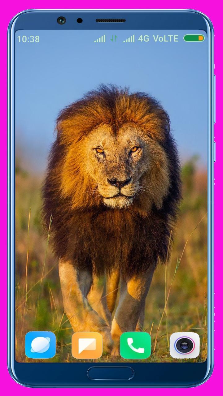 Lion HD Wallpaper screenshot image 38_Popularmodapk.com