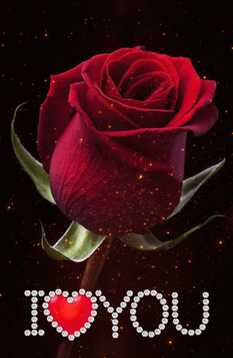 I Love You Images GIF screenshot image 12_Popularmodapk.com