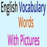 English Vocabulary: Charts, Tables with Images2.0.50_Popularmodapk.com