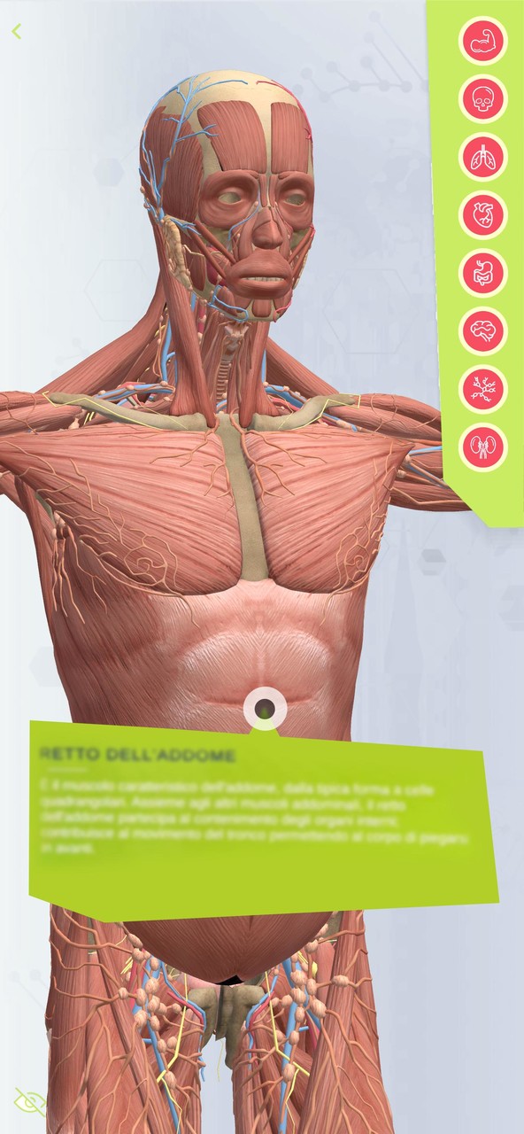 Anatomia Super screenshot image 2_Popularmodapk.com