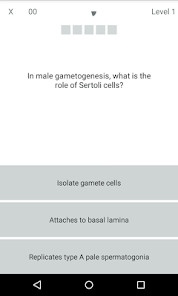 English Tamazight Dictionary screenshot image 3_Popularmodapk.com