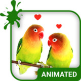 Lovebirds Keyboard + Wallpaper5.5.2_Popularmodapk.com
