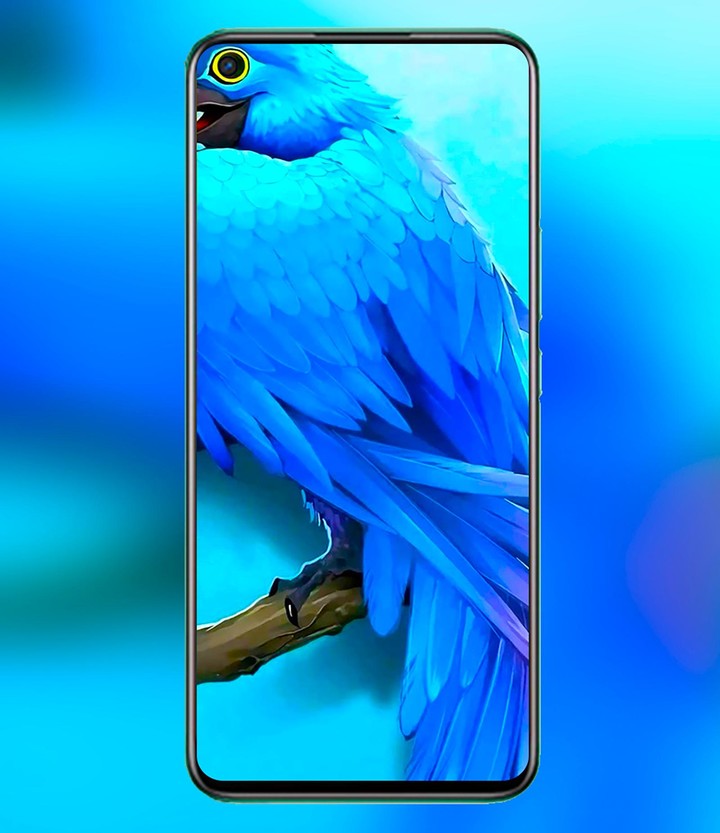 Realme 9i Punch Hole Wallpaper screenshot image 8_Popularmodapk.com