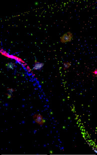 Vanced Manager for YouTube Vanced screenshot image 20_Popularmodapk.com