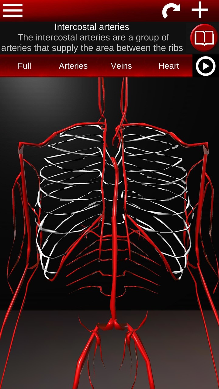 Circulatory System 3D Anatomy screenshot image 3_Popularmodapk.com