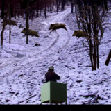 Batida jabali2.1_Popularmodapk.com