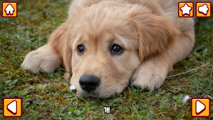 Animal friends in my hand screenshot image 3_Popularmodapk.com