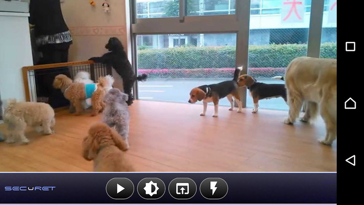 RhythmCam-Heart Rhythm Checker screenshot image 4_Popularmodapk.com