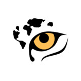 Wild Browser: safe web search92.0.2020000041_Popularmodapk.com