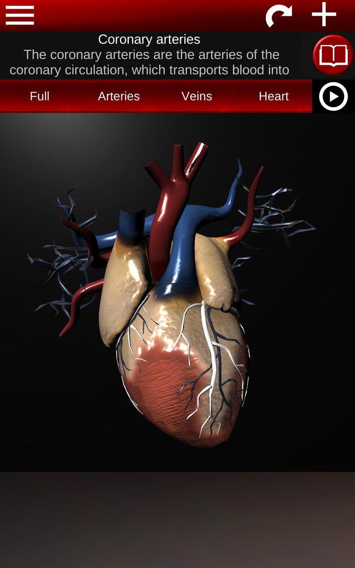 Circulatory System 3D Anatomy screenshot image 21_Popularmodapk.com