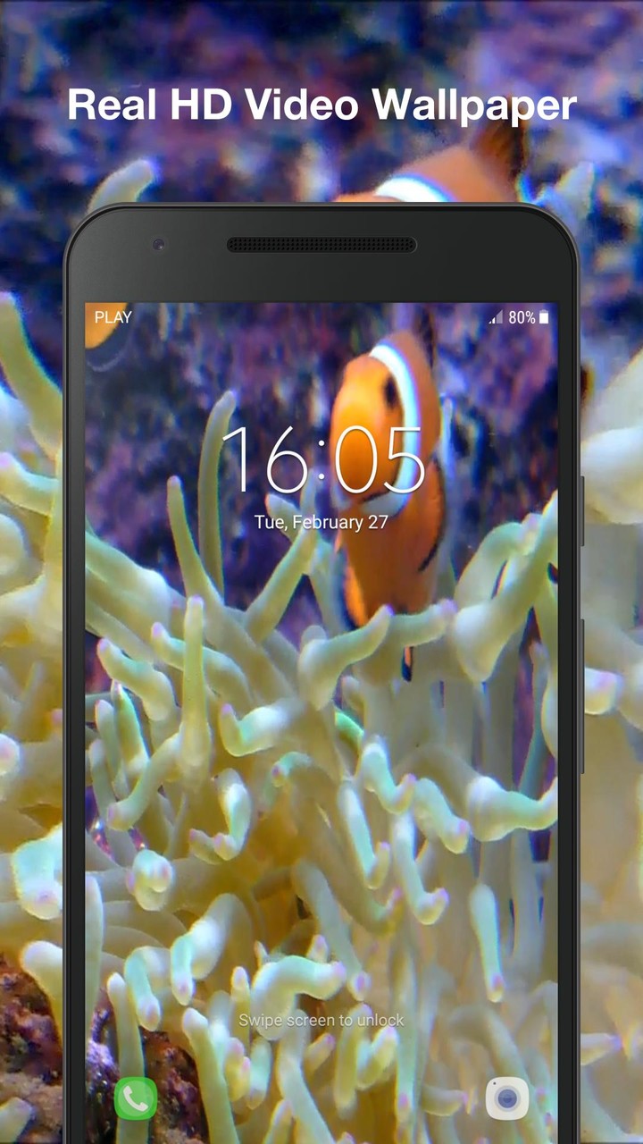 Real Fish Live Wallpaper screenshot image 3_Popularmodapk.com
