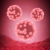 Idle Plague(Large currency)1.2.3_Popularmodapk.com