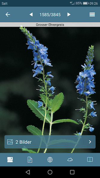 Deep Sleep Hypnotherapy screenshot image 3_Popularmodapk.com