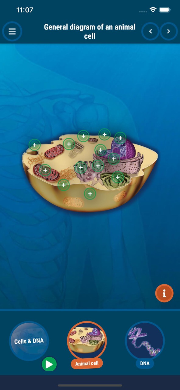 The Human Body screenshot image 8_Popularmodapk.com