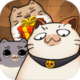 Cat box1.0.1_Popularmodapk.com