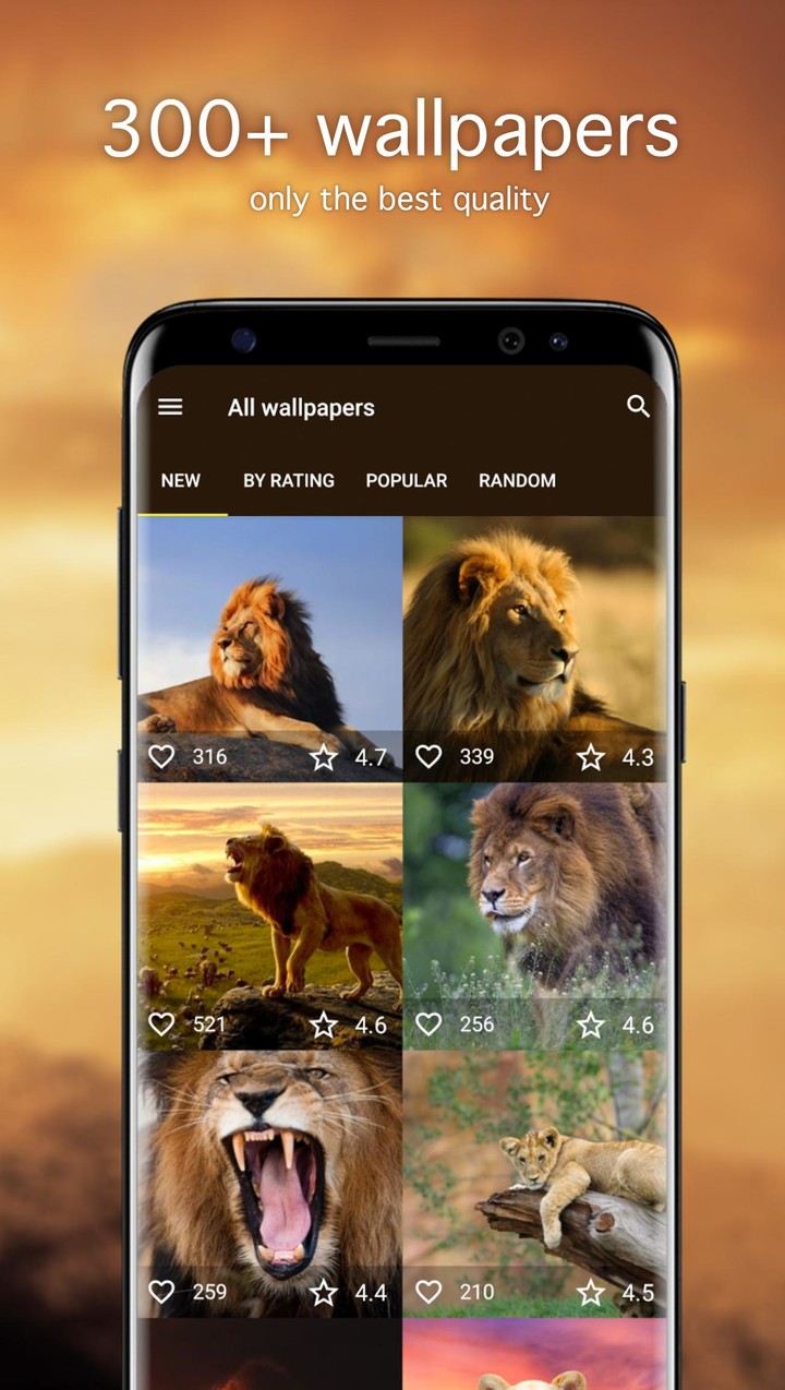 Lion Wallpapers 4K screenshot image 1_Popularmodapk.com