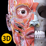 Anatomy 3D Atlas4.3.0_Popularmodapk.com